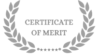 Certificate of merit icon